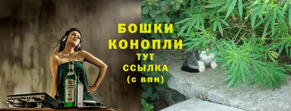 прущие грибы Алексеевка
