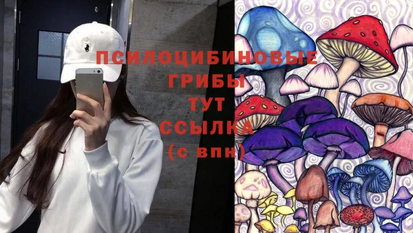 прущие грибы Алексеевка