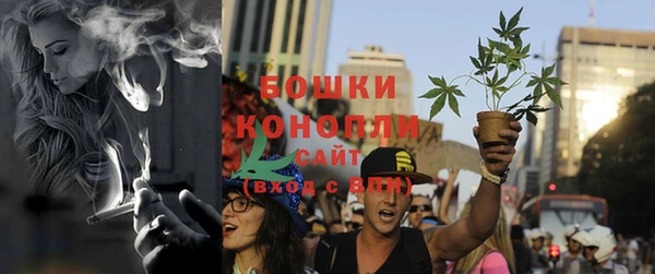 прущие грибы Алексеевка
