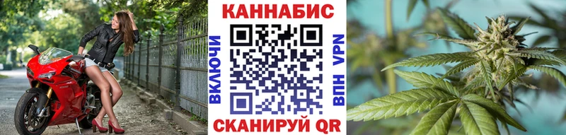 Шишки марихуана гибрид  Новосиль 